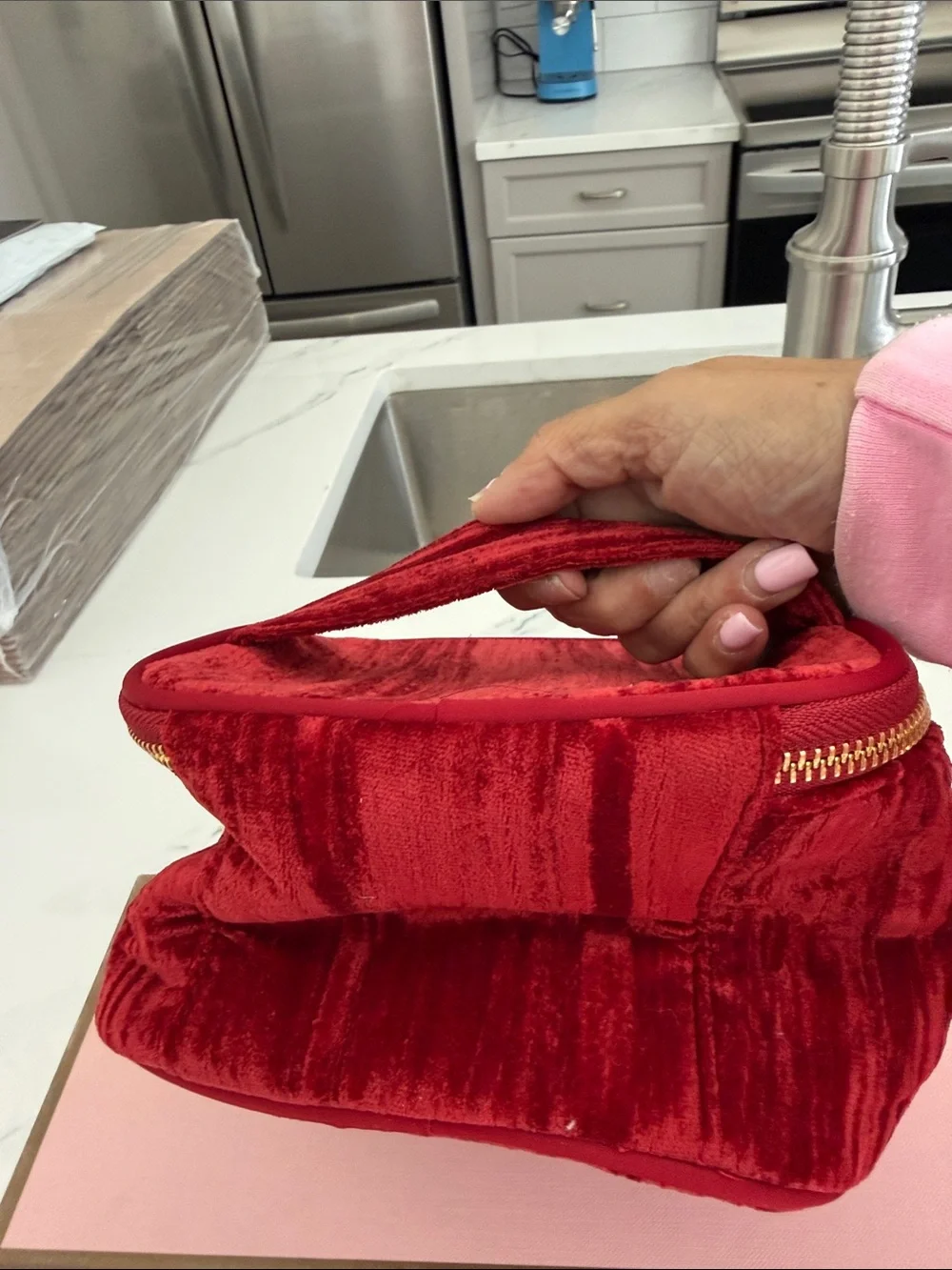 Sézane Red Velvet Tassel Cosmetic Case with Gold Hardware